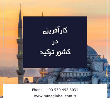 کارآفرینی در ترکیه