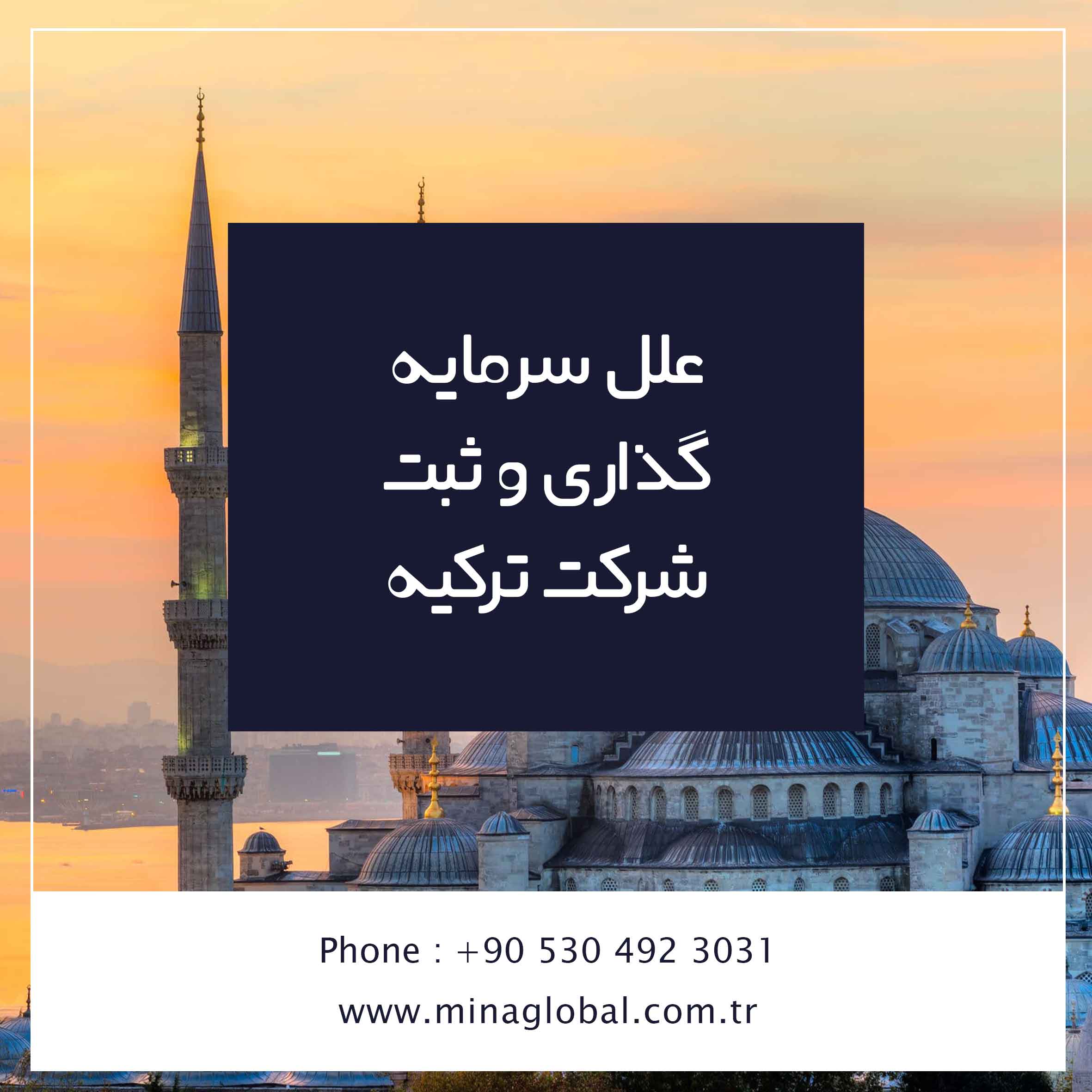 علل سرمایه گذاری و ثبت شرکت ترکیه