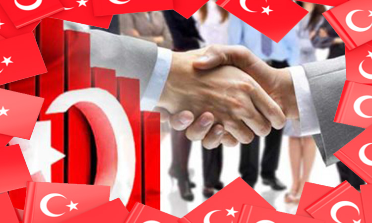 کارآفرینی در ترکیه