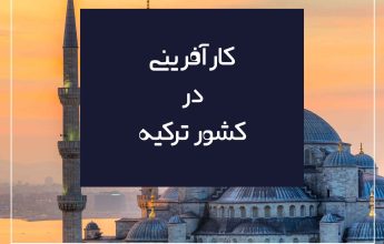 کارآفرینی در ترکیه